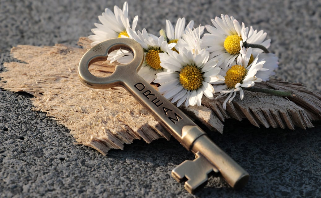 Daisy, Key and Wood