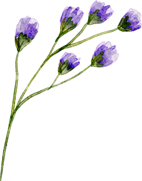 Blue violet watercolor flower branch